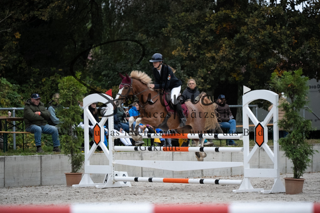 A7V08895 | Turnier/Reitfotograf