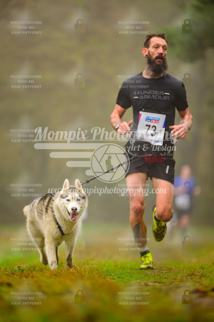 MompixPhotography_Bischwiller2025_Canicross-56 | mompixphotography