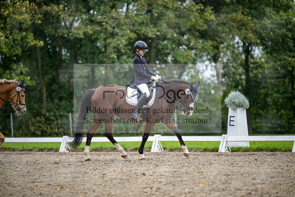 FOTO OGER | Entdecke hochwertige Reitturnierfotos von Foto Oger. Professionell, emotional und authentisch – jetzt Lieblingsmomente im Shop bestellen. - Realisiert mit Pictrs.com