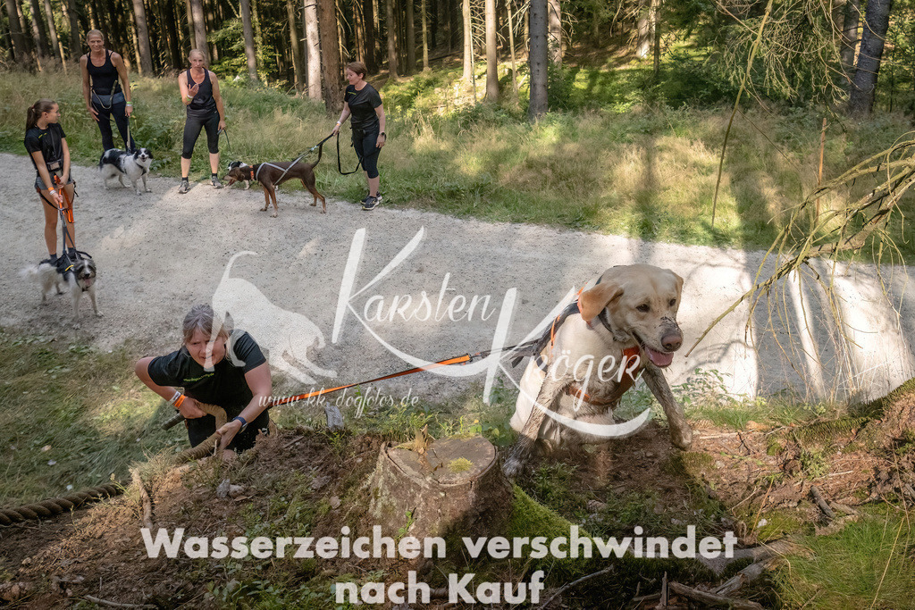 1047_ZZ92432 | kk-dogfotos