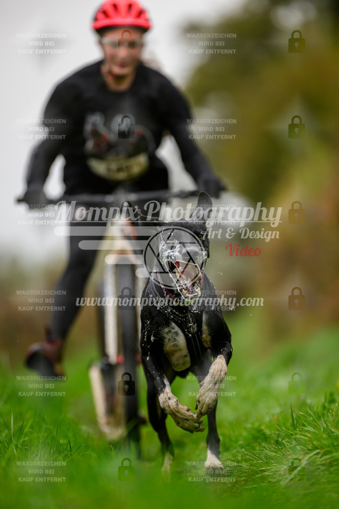 MompixPhotography_20TSB_E8_DS1-39 | PayLife