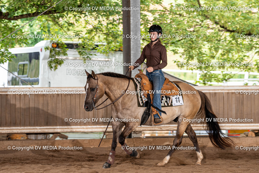 Erbach Tag 1-887 | dv-media-shop - Realisiert mit Pictrs.com