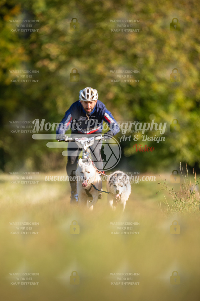 CDLBDB_15_10_2023_Dimanche-306 | mompixphotography