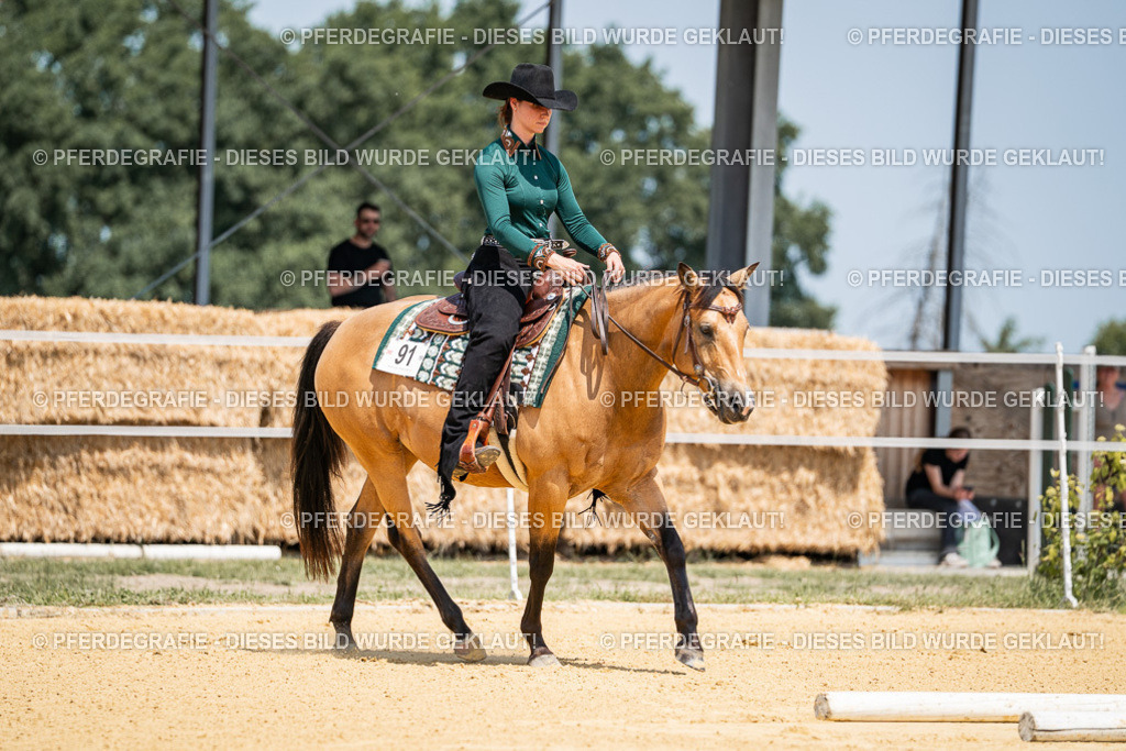 DSC01346 | Pferdegrafie