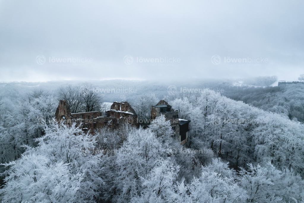 Burg Scharfenberg im Winter bei Nebel und Eis | löwenblicke | shop