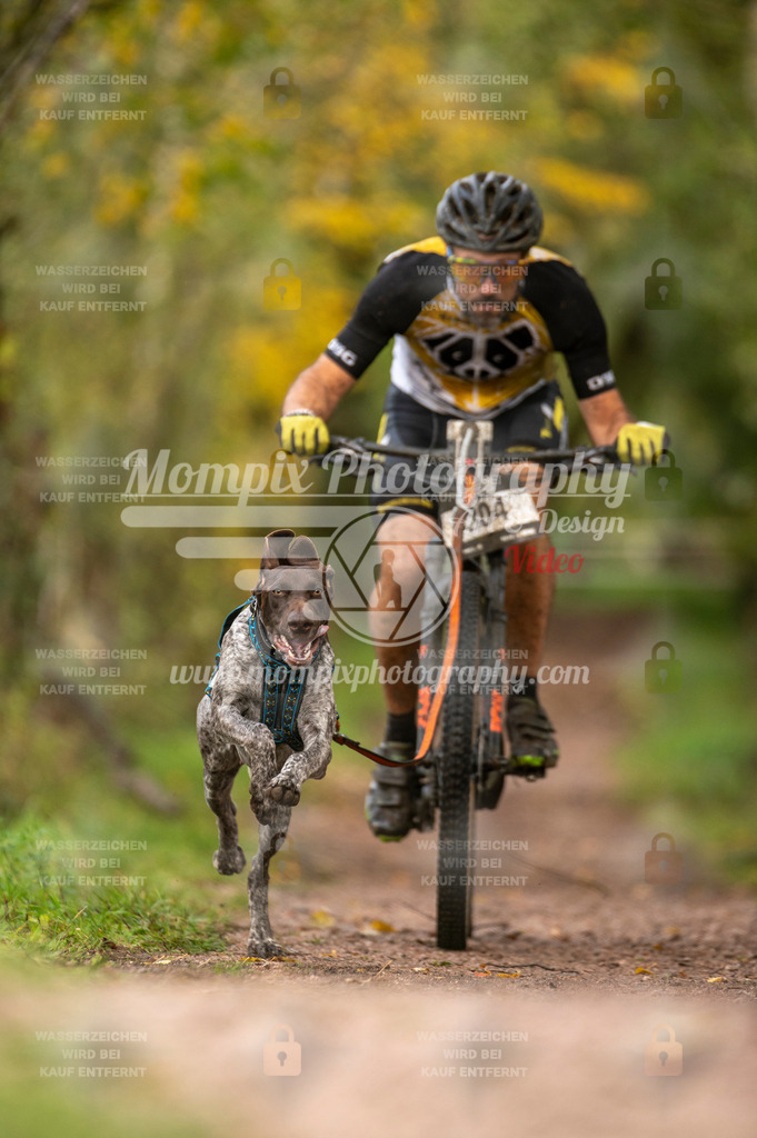 TSB_2023_E4_Bike-12 | PayLife