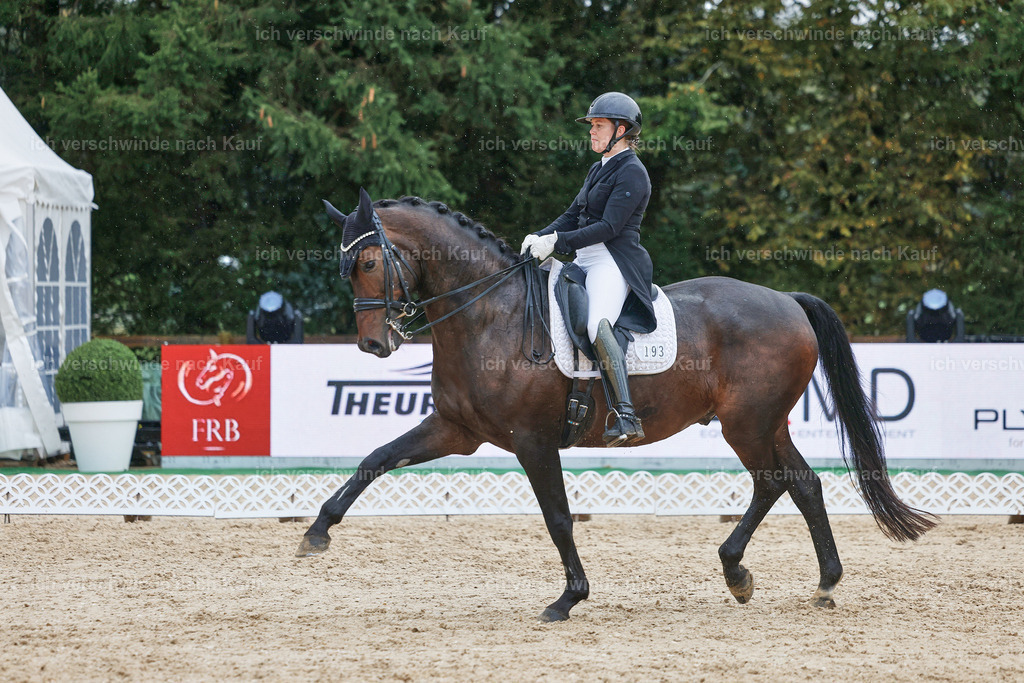8_2-193-DRESSUR S_  -StoibPH-4509 | working equitationturnier fotograf videograf stoibphotography marixx film working equitation deutschland reitsport turnierfotografie eventfotografie equestrian events