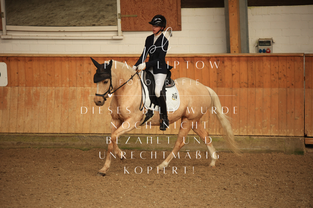 IMGT5055 | pl-fotografie