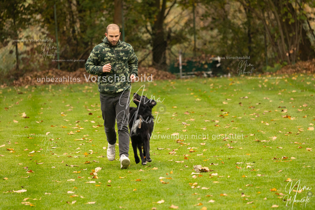 _16A0625 | Einzigartige Fotos von Hunden & Menschen –Actionfotos, Portraits, Vereinsaufnahmen & Paarshootings – authentisch, lebendig & mit Herz.