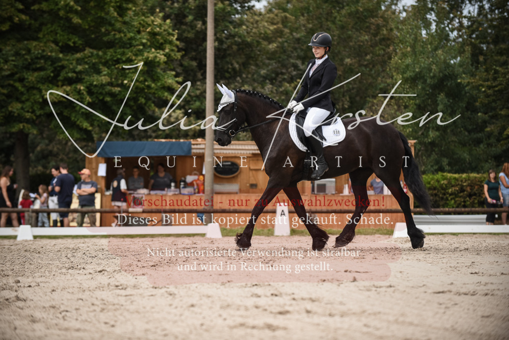 DSC_8588 | Pferde- und Turnierfotografie in Westsachsen. Pferdeportraits, Auftragszeichnungen und intuitive Kunst.