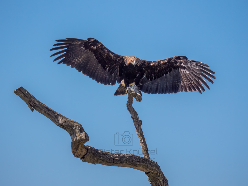 P1355177-Bearbeitet-2019-Bearbeitet-2019-LR | Natur im Moment - Realisiert mit Pictrs.com