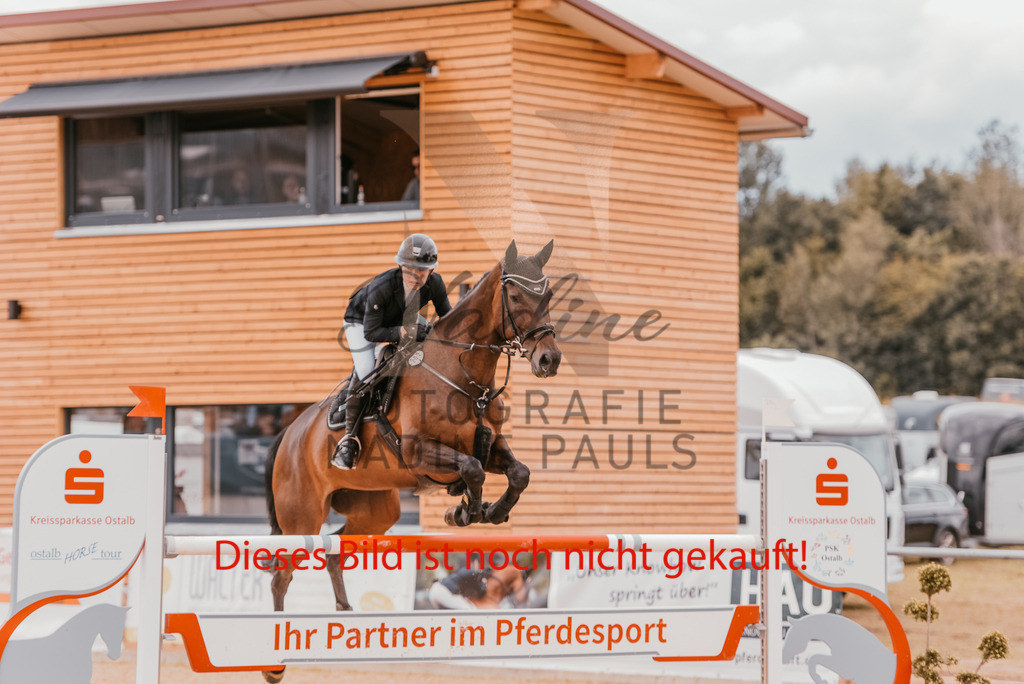 6-S-M-59 | Nadine Pauls Turnierfotografie Lauchheim Ostalbkreis Pferdefotografie Hundefotografie  - Realisiert mit Pictrs.com
