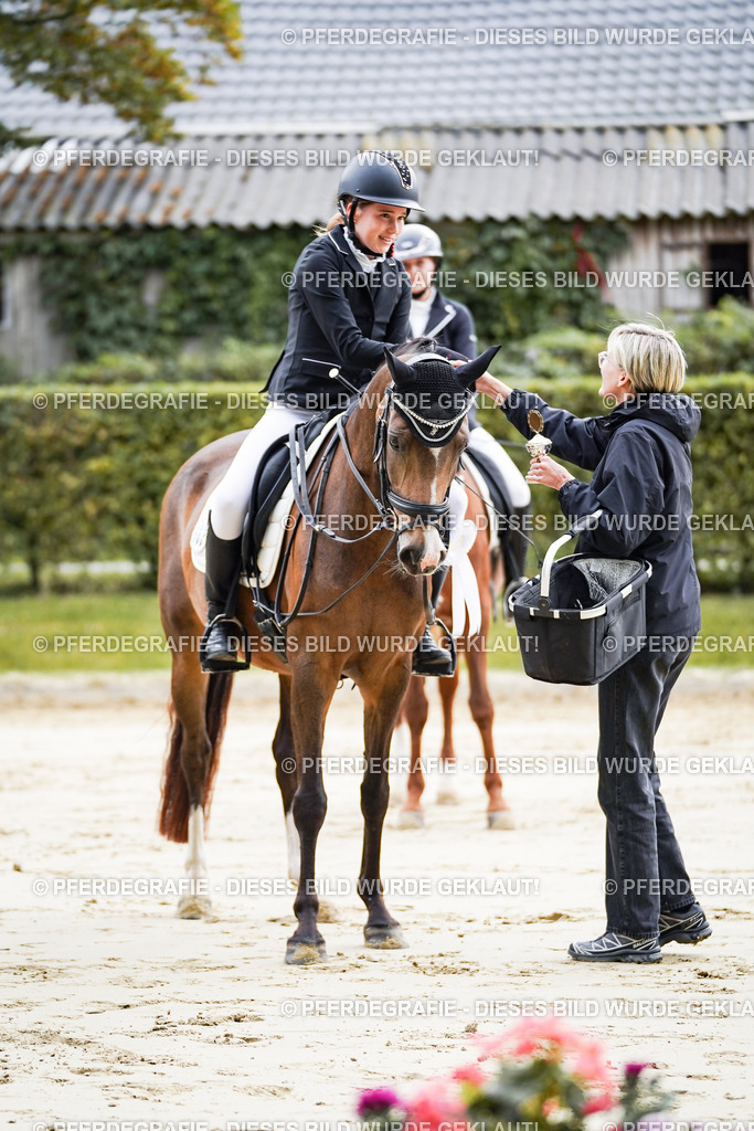 DSC04979 | Pferdegrafie