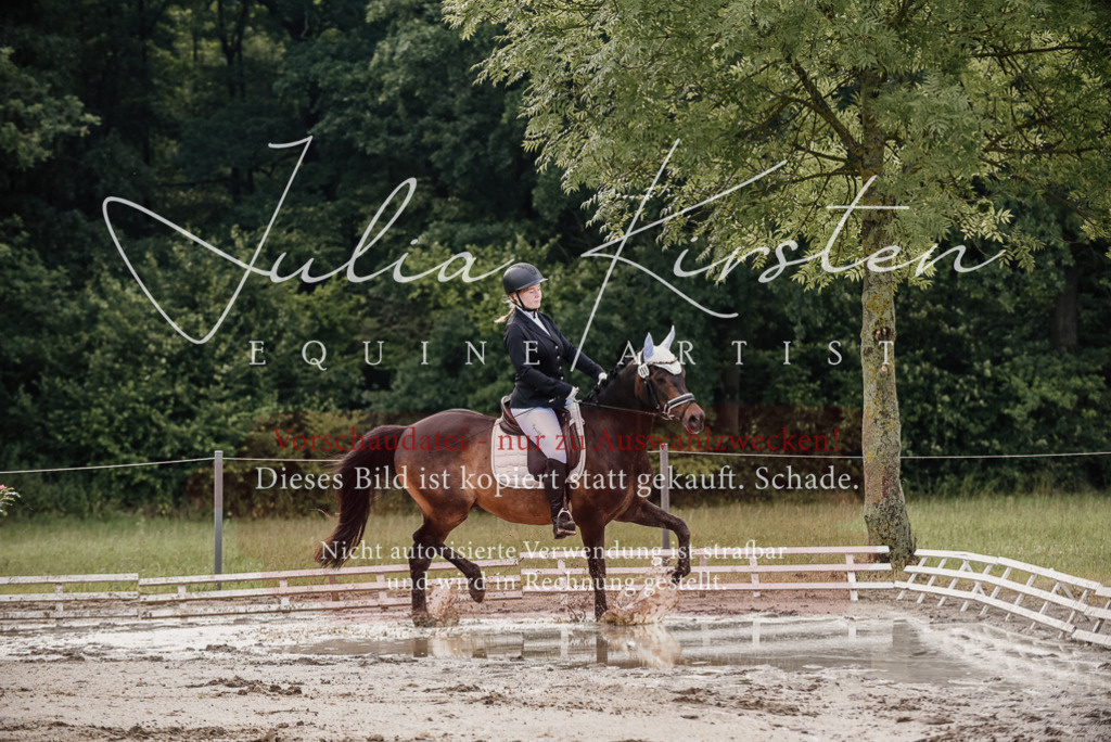 DSC_8214 | Pferde- und Turnierfotografie in Westsachsen. Pferdeportraits, Auftragszeichnungen und intuitive Kunst.