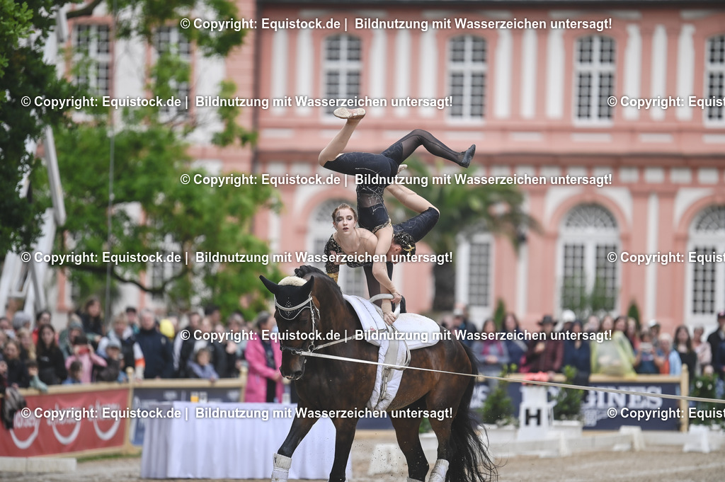 20240519_Voltige_0991 | Foto: Thomas Hartig