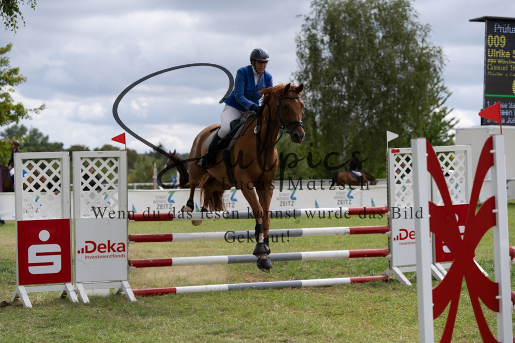 A7V05333 | Pferdefotograf