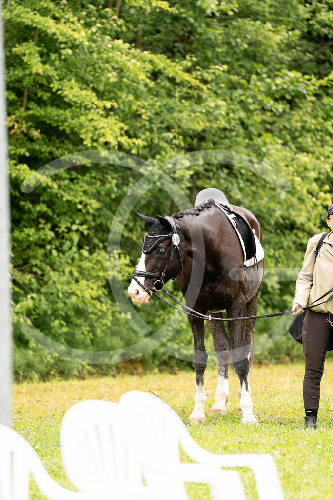 DSC07747 | Carolin Gieschke