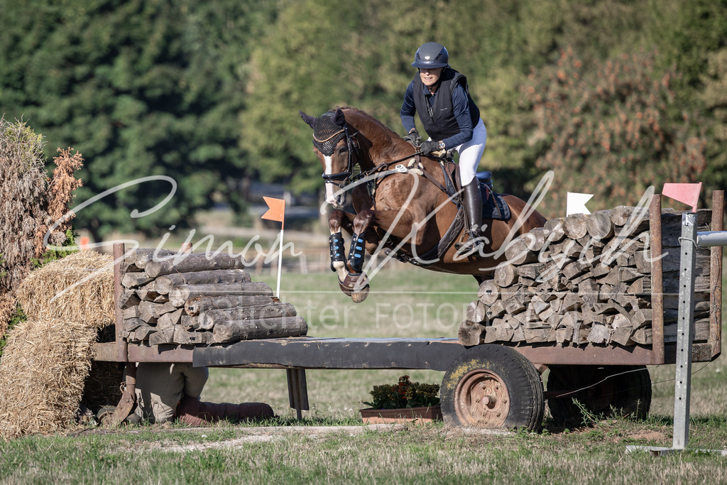 20260906-_3LI1277 | Tierfotografie Pferde, Hunde, Katzen, Haustiere.
Turnierfotografie Reitturniere, Reiten, Springreiten, Dressur in Hanau, dem Main-Kinzig-Kreis und dem Rhein-Main- Gebiet um Frankfurt