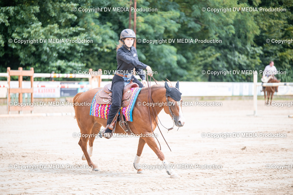 ZS3_5079 | dv-media-shop - Realisiert mit Pictrs.com