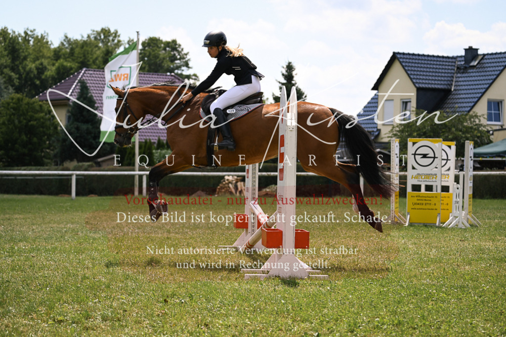 DSC_9278 | Pferde- und Turnierfotografie in Westsachsen. Pferdeportraits, Auftragszeichnungen und intuitive Kunst.