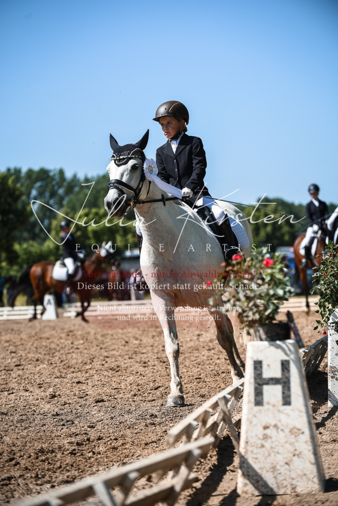 DSC_3702 | Pferde- und Turnierfotografie in Westsachsen. Pferdeportraits, Auftragszeichnungen und intuitive Kunst.
