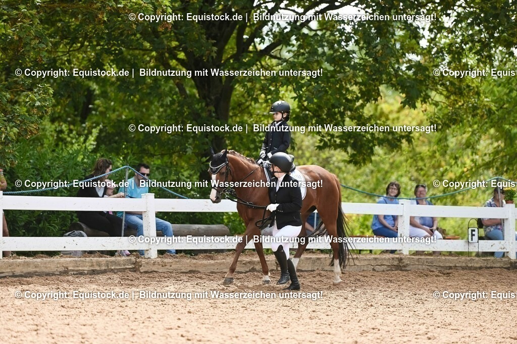 20230716_11_Führzügel-WB_0183 | equistock