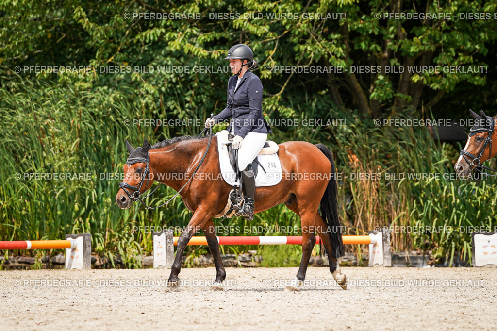 DSC03901 | Pferdegrafie