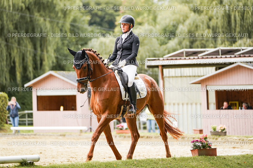 DSC08316 | Pferdegrafie