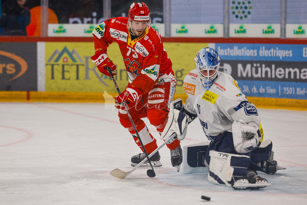 EHCB vs HCAP 20260115_wb-4746 | Sportbilder, Sportfotograf, Hochzeits- und Eventfotografin, Flugshows, Portraits und Tiershooting, Aviation, Downhill, Nationalleague, Swissleague, International