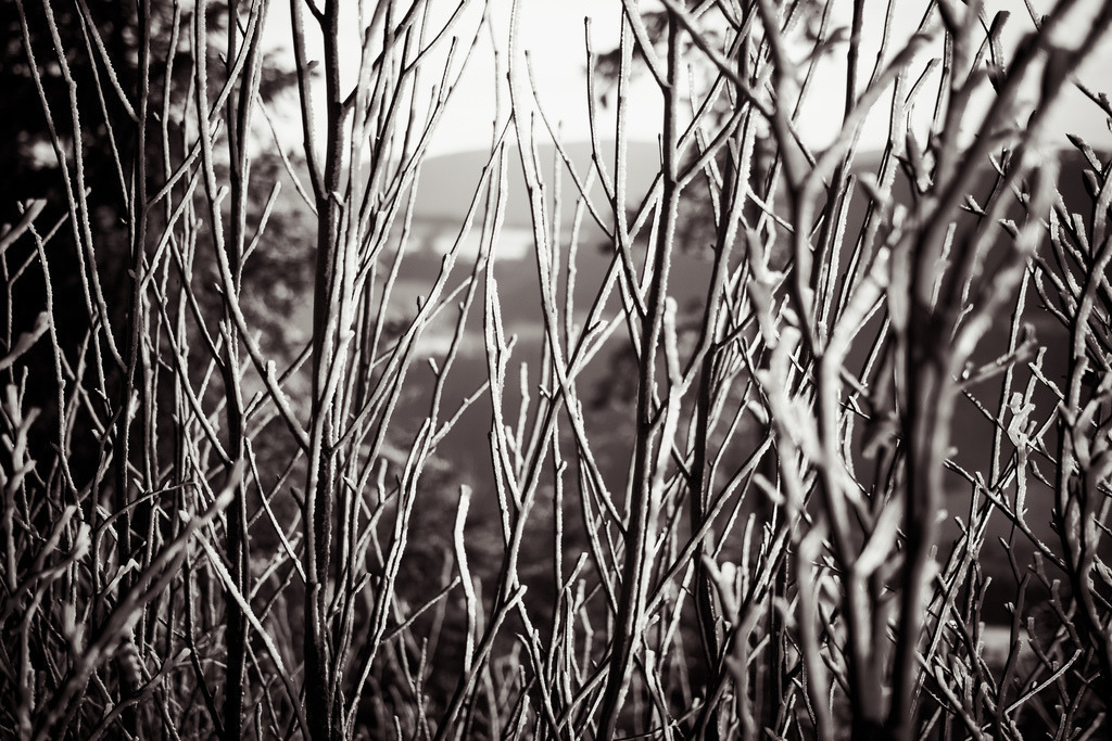 Winterliche Stimmung am Morgen auf dem Vogelberg | Schöne Fotografien aus der Stadt und der Natur zum bestellen oder selber hochladen. Druck auf Foto, Postkarte, Kalender, FineArt Hahnemühle, Alu-Dibond , Akustikbilder zur Absorption von Schall und Lärm etc. - Realisiert mit Pictrs.com