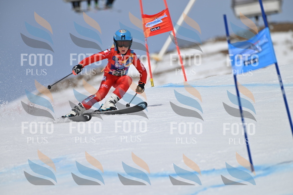 BGV_5827 | holidayphoto