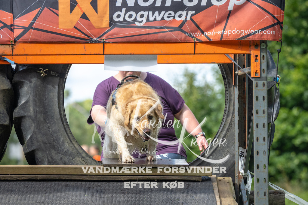 1554_ZZ94894 | kk-dogfotos