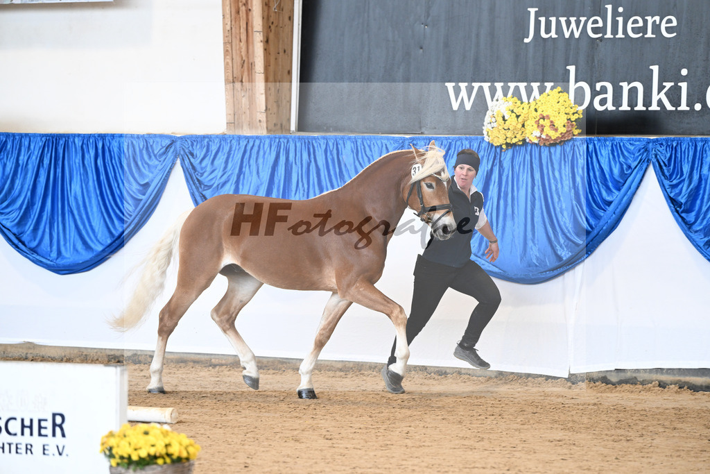 Kat-Nr. 31 Weinbrand v. Weingold S_Brugger_48251138 | hf-fotografie - Realisiert mit Pictrs.com