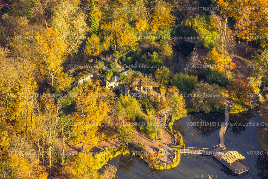Gelsenkirchen251103264 | Luftbild, Zoom Erlebniswelt Zoo Asien Bereich, Teich und Gehsteig Aussichtsplattform mit Reich der Orang-Utans, herbstliche Bäume, Bismarck, Gelsenkirchen, Ruhrgebiet, Nordrhein-Westfalen, Deutschland