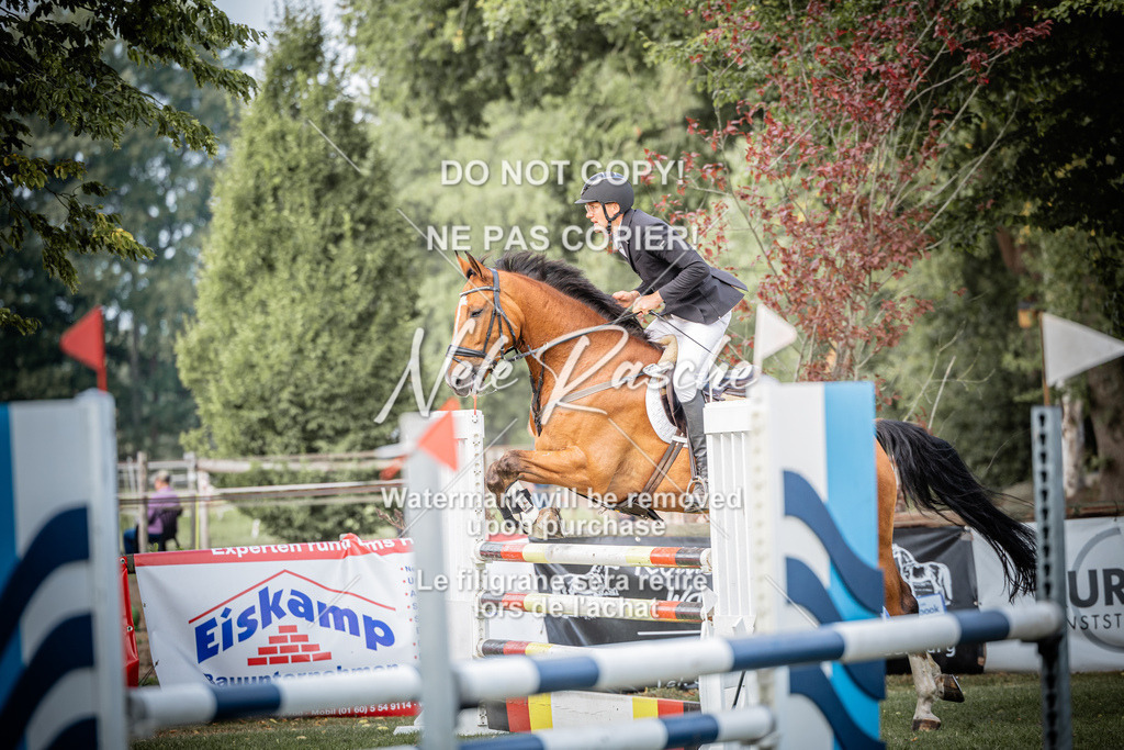 nelerasche_SprL__110Ede_53 | nelerasche
