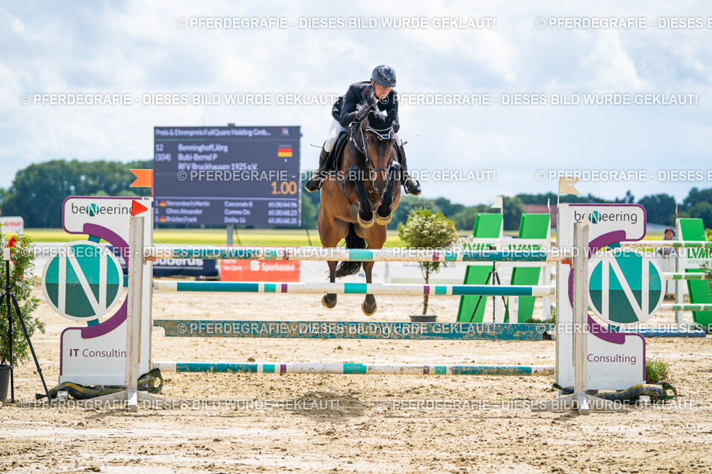 DSC05507 | Pferdegrafie