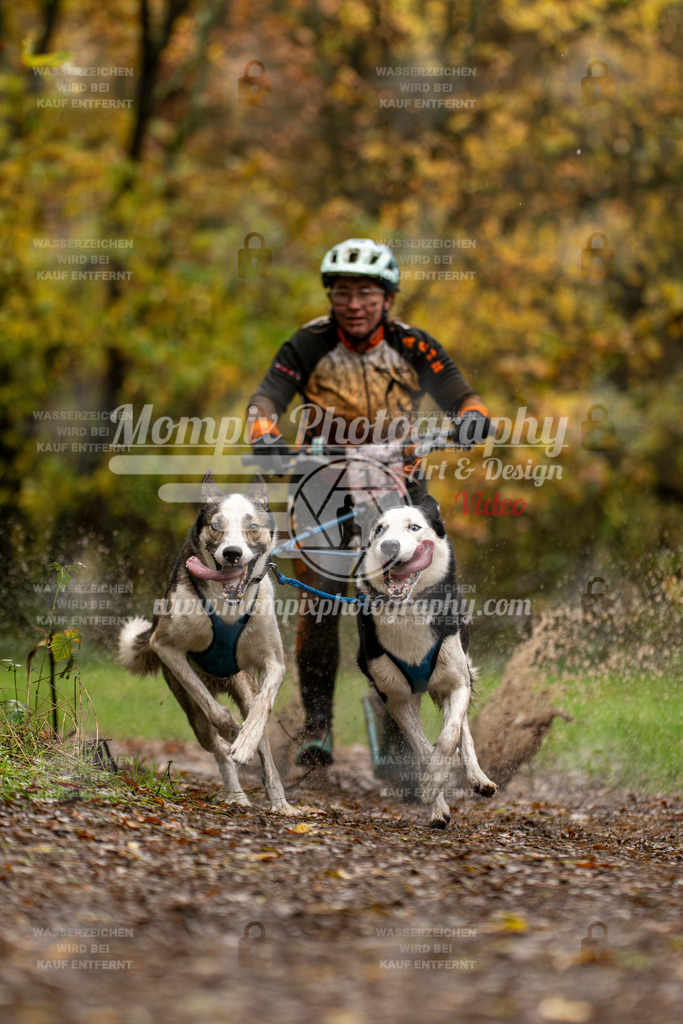 MompixPhotography_Bischwiller23_DS2-3 | mompixphotography