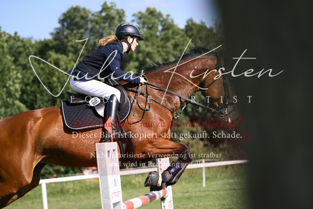 DSC_1325 | Pferde- und Turnierfotografie in Westsachsen. Pferdeportraits, Auftragszeichnungen und intuitive Kunst.