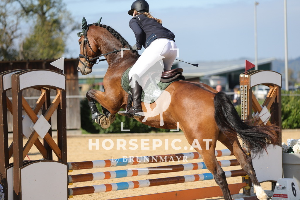 0P6A8456 | Willkommen bei Brunnmayr - Design & Fotografie – Ihrem Spezialisten für Reitturniere und Pferdeveranstaltungen in Oberösterreich, Salzburg und Bayern! Seit über 17 Jahren sind wir leidenschaftlich dabei.