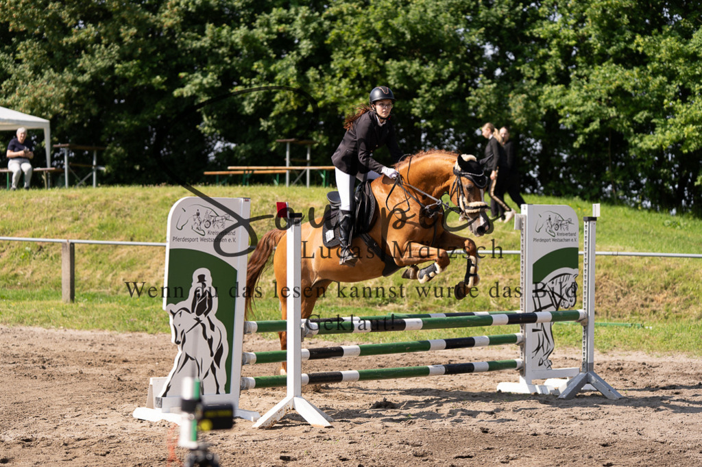 A7507347 | Turnier/Reitfotograf