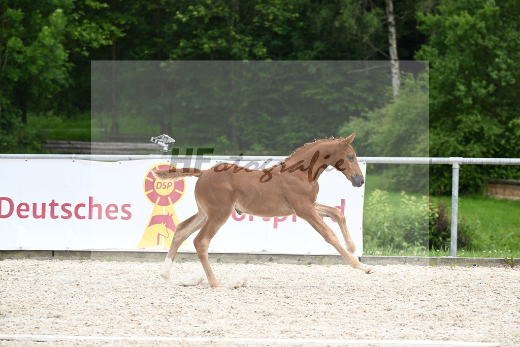 Consantos x Concetto_SF_Lang-Wengert_20241133 | hf-fotografie - Realisiert mit Pictrs.com