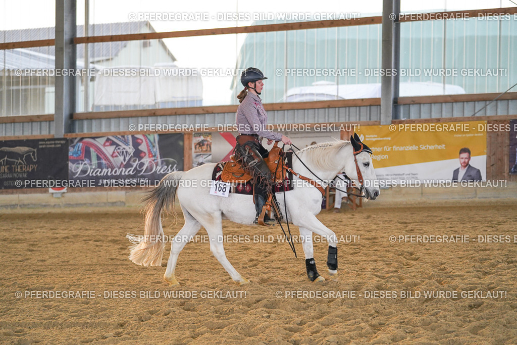 DSC08911 | Pferdegrafie