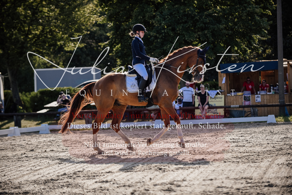 DSC_0536 | Pferde- und Turnierfotografie in Westsachsen. Pferdeportraits, Auftragszeichnungen und intuitive Kunst.