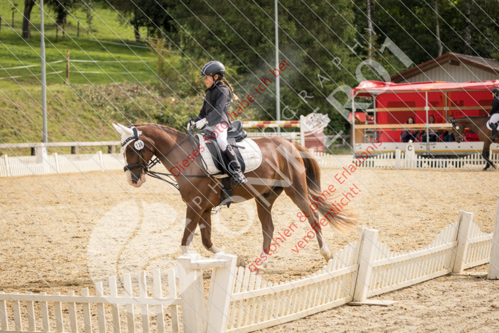 CON_0173 | Sport-, Event- und Tierfotos in Profiqualität. Einfach auswählen, bestellen und herunterladen. Dein Moment – perfekt festgehalten.
