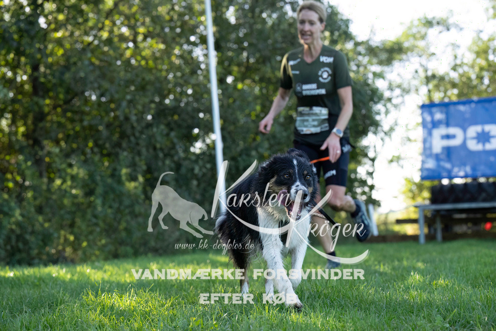 1025--7 | kk-dogfotos