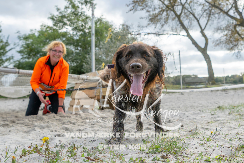 1504_ZZ92902 | kk-dogfotos