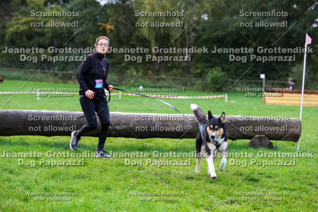 Dog Paparazzi -  SD1026-1175 | Dog Paparazzi Jeanette Grottendiek Fotografie & Videografie - Realisiert mit Pictrs.com