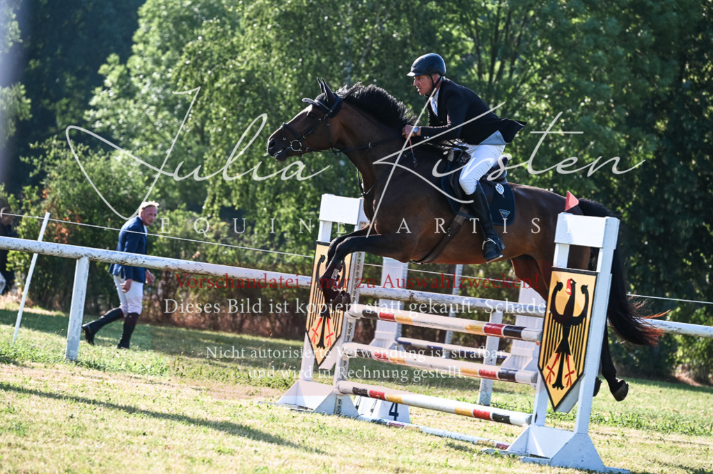 DSC_7473 | Pferde- und Turnierfotografie in Westsachsen. Pferdeportraits, Auftragszeichnungen und intuitive Kunst.