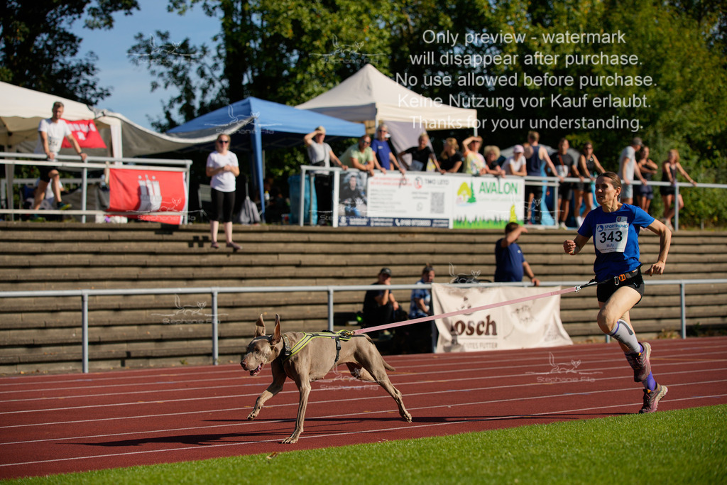 Sonntag_Staffel (54 von 336) | stephaniefillaphotographie - Realisiert mit Pictrs.com