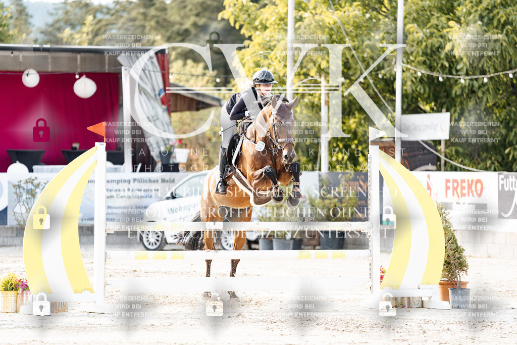 CK906773 | Turnierfotografie Pferdefotografie Trier Rheinland-Pfalz Pferdesport Reitsport Tierfotografie Sportfotografie Pferdevideo Pferdevideografie Equestrianvideography equestrianphotography  - Realisiert mit Pictrs.com